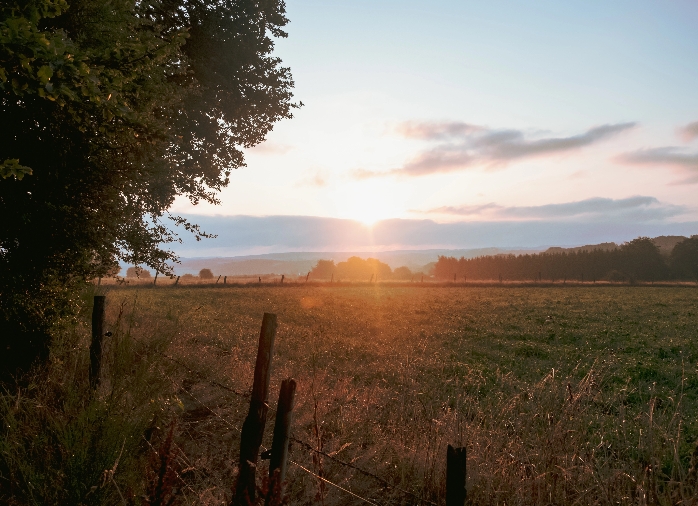 Terrains et parcelles