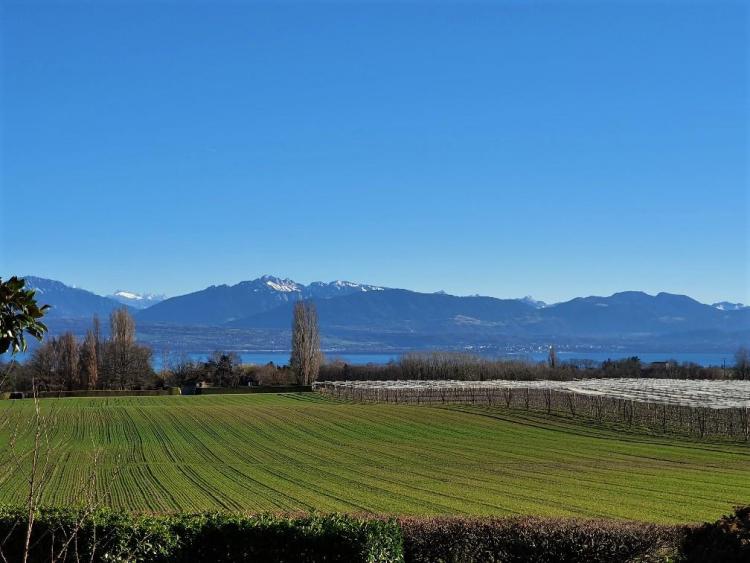 Exclusivité : Superbe maison de Maître sur 3'376 m² de terrain