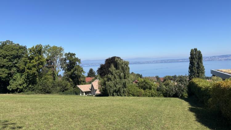 Neuvecelle - Terrain de 3 650 m² - Vue lac panoramique.