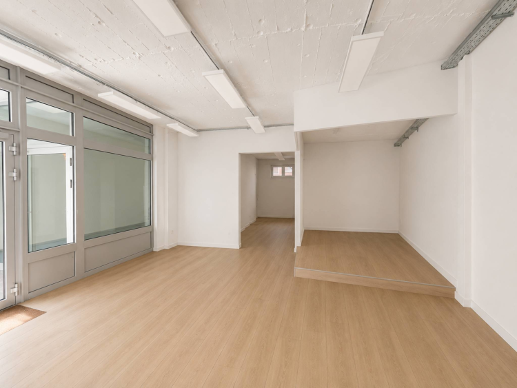 Arcade  81m2 Plainpalais