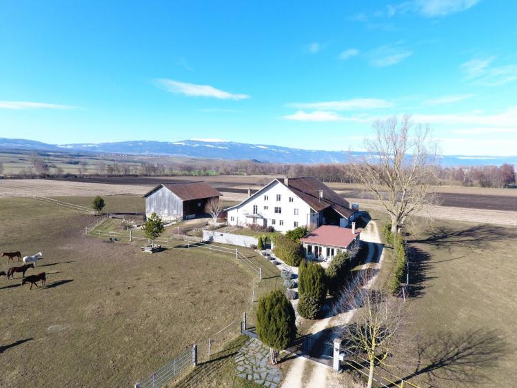 Splendide domaine de plus de 7 hectares - Idéal pour les amoureux des chevaux