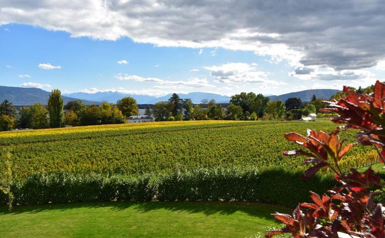 Spacieux attique avec belle vue lac disposant d'une terrasse de 160 m2