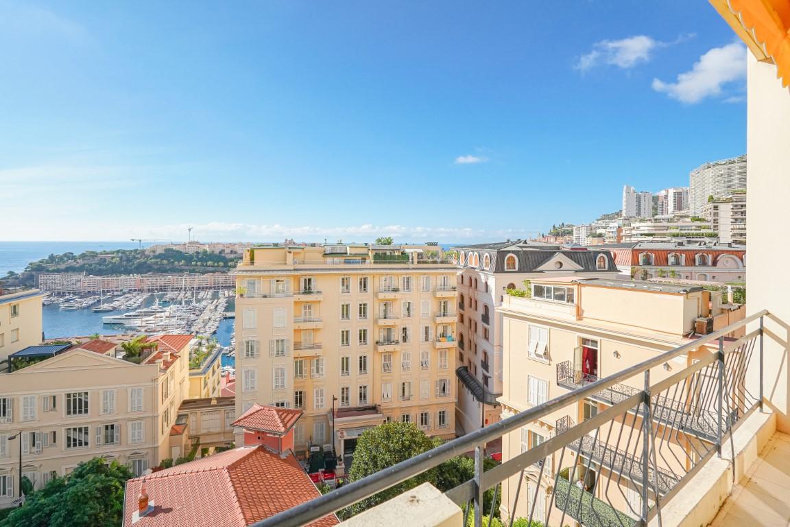 kgjEO_terrasse_vue_mer_monte_carlo_moyen_.jpg